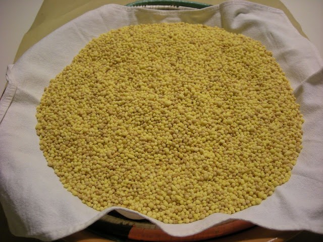 fregula.JPG